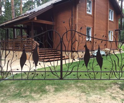 Кованые распашные ворота 
Городецкий р-н 2021г.