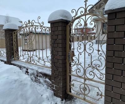 Кованый забор Городецкий р-н 2021г