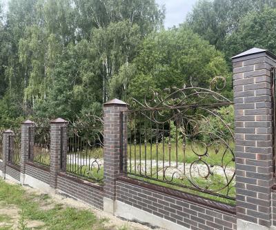 Кованый забор Богородский р-н 2024г