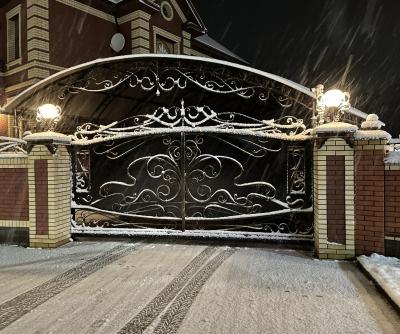 Кованые фонари 12.11.2021