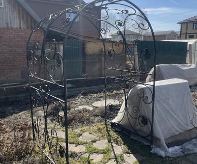 Кованая арка 2025г