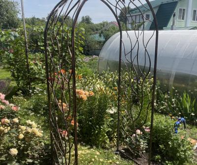 Кованая арка 2025г