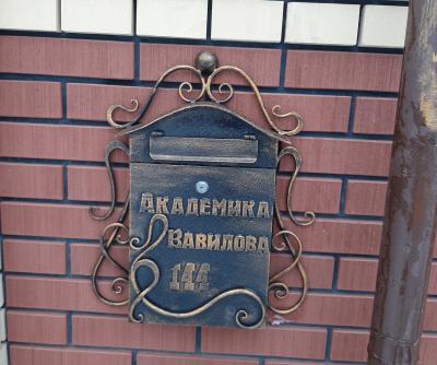 Кованый почтовый ящик г.Н.Новгород 2019г.