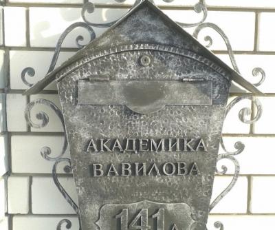 Кованый почтовый ящик г.Н.Новгород 2014г.
